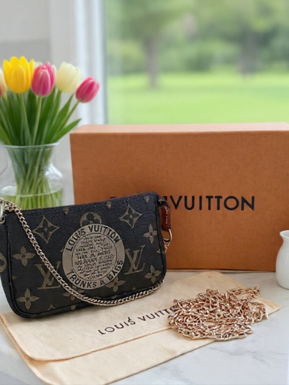 Louis Vuitton Mini Pochette Trunks & Bags Limited Edition ✨ Box+COA - Picture 7 of 16